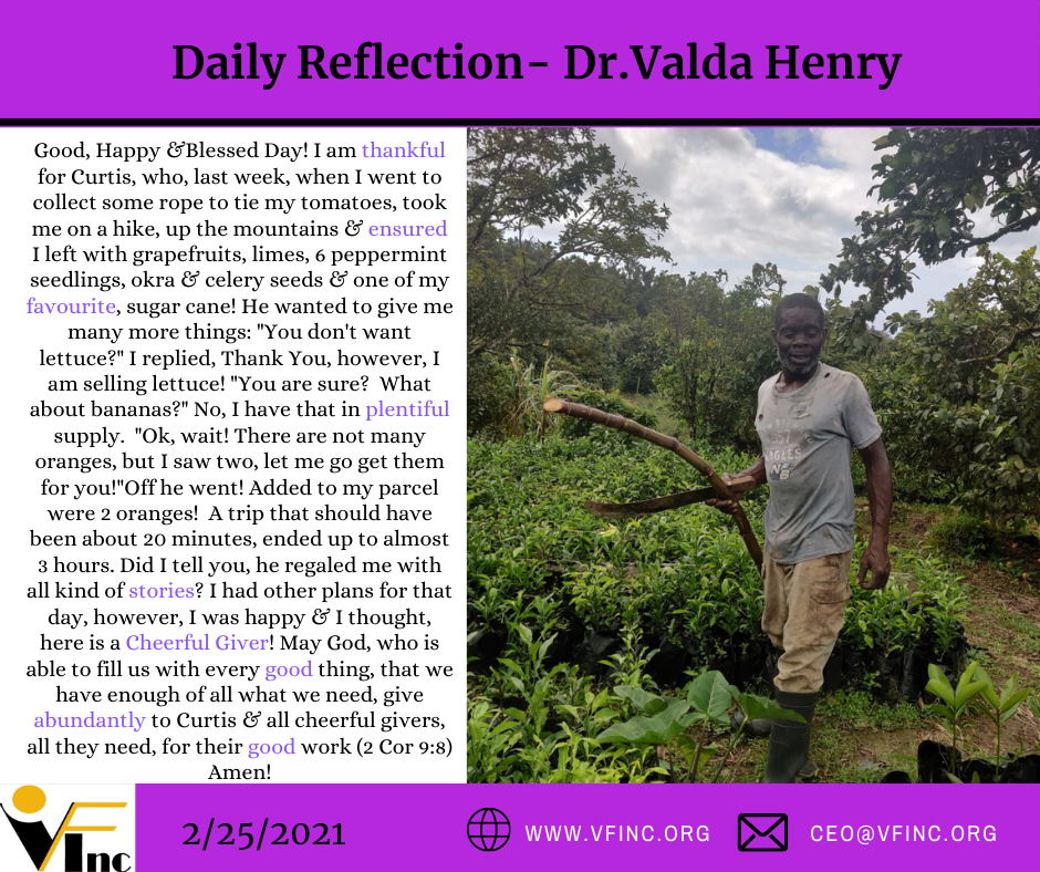 VFINC DAILY RELFECTIONS (29)