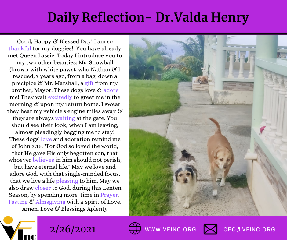VFINC DAILY RELFECTIONS (31)