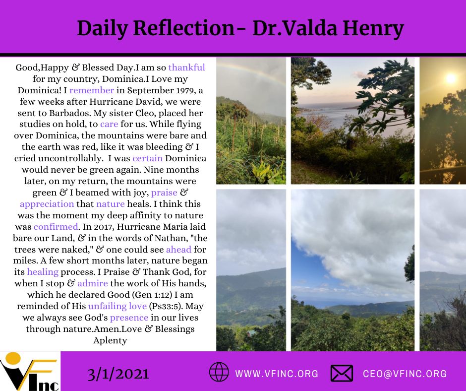 VFINC DAILY RELFECTIONS (33)